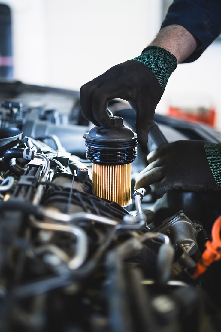 General Maintenance & Preventative Care